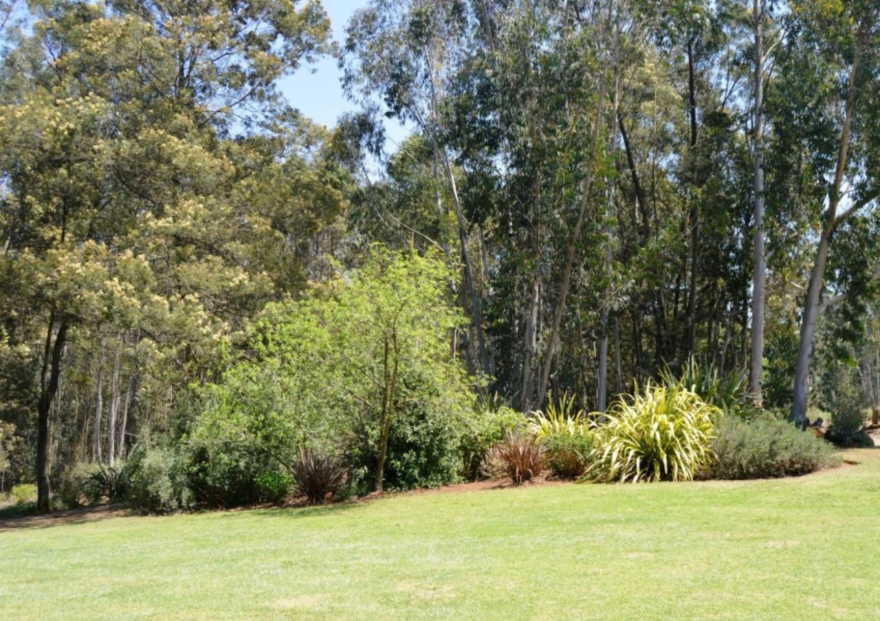 The Falls Cottages Howick Exterior photo